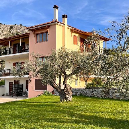 Ενtree Guest House Near Palamidi Castle نافبليو المظهر الخارجي الصورة