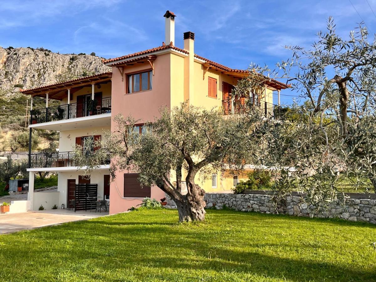 Ενtree Guest House Near Palamidi Castle نافبليو المظهر الخارجي الصورة
