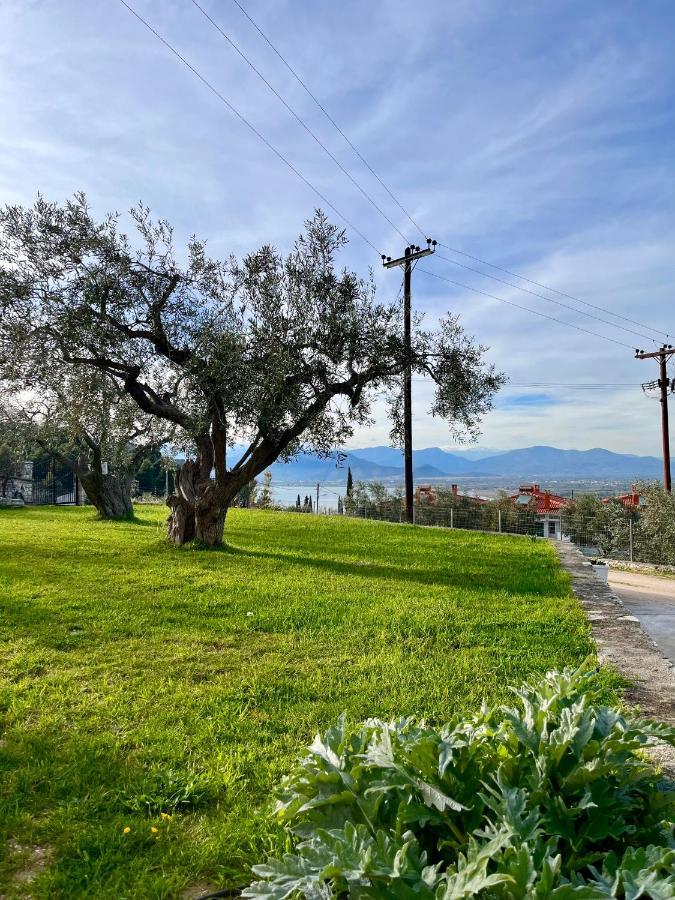 Ενtree Guest House Near Palamidi Castle نافبليو المظهر الخارجي الصورة